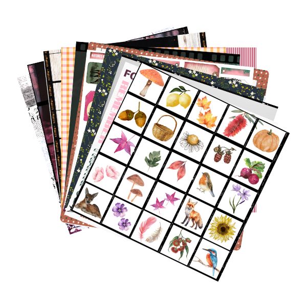 Nature's Notes Paper Pack